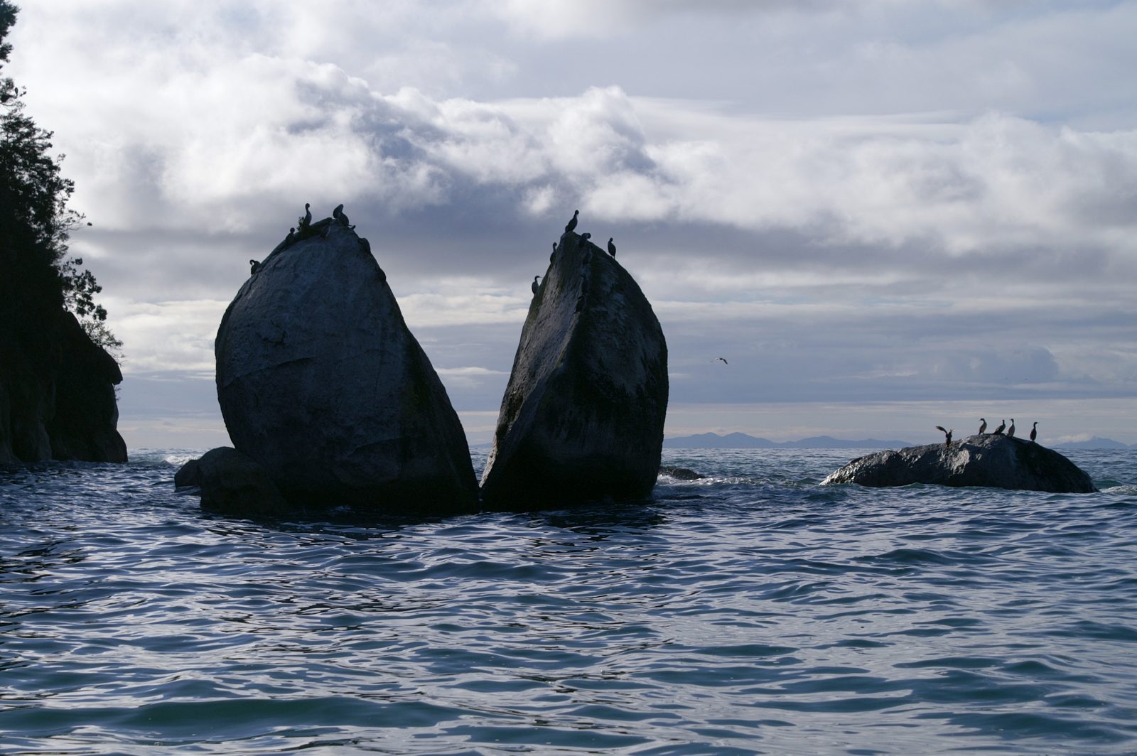 Abel Tasman