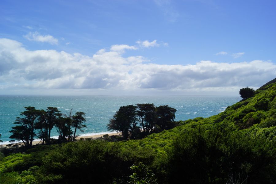 Walk all or part of the 60km Coast Track