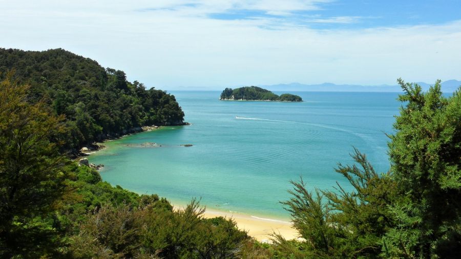 Swim in some of NZ's clearest coastal water
