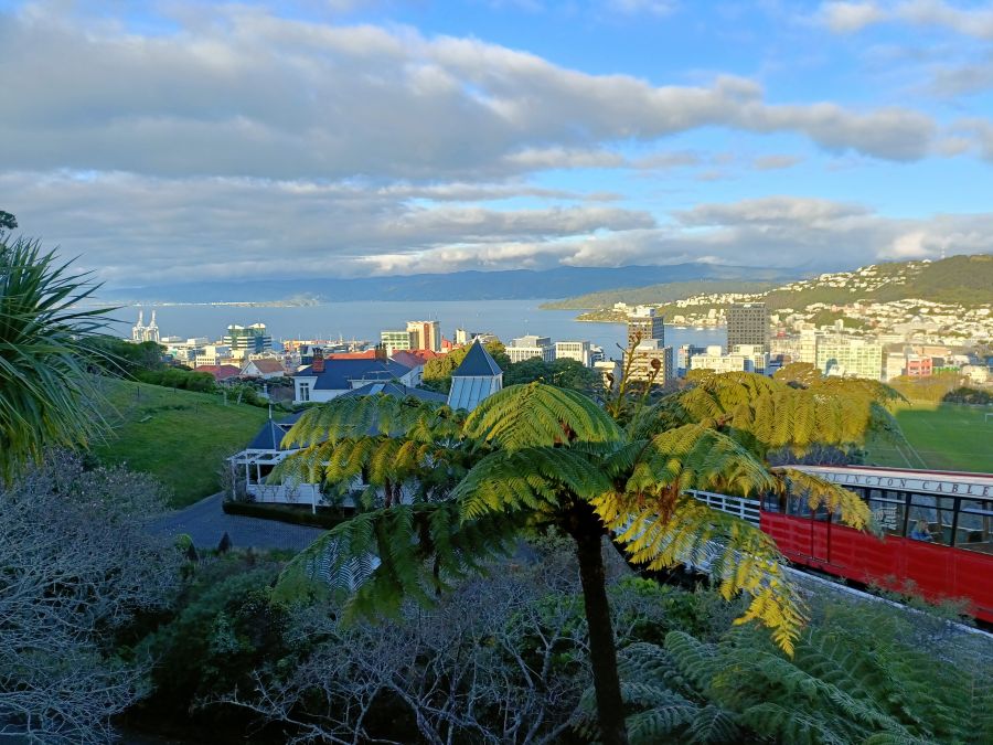 Cable car up to the botanic garden lookout