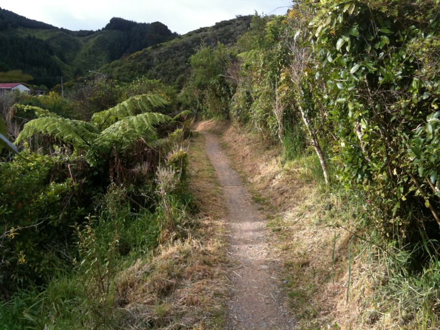 Mountain-bike trails minutes from downtown