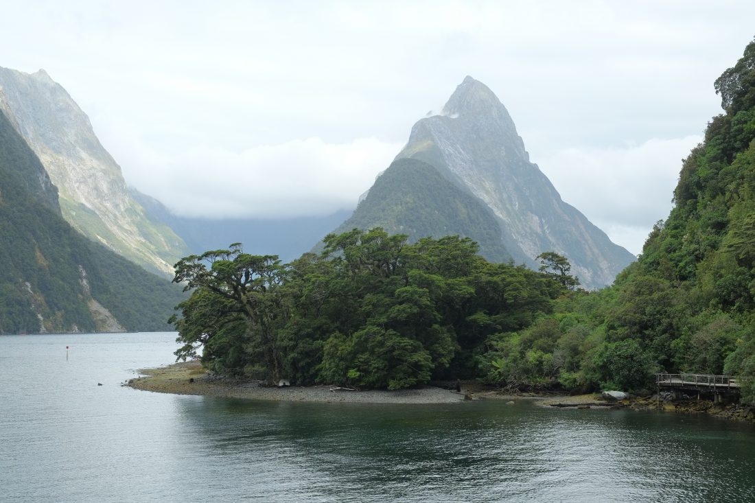 Milford Sound & Fiordland Escape