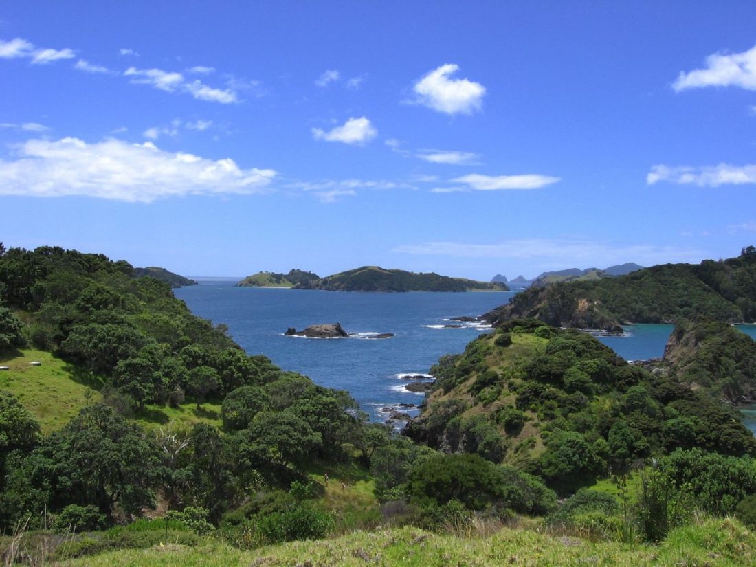 North Island Discovery